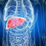 Liver-image-13c8379a99ff4eb7a0c4c7257cefa87d-2048x1024 (1)