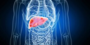 Liver-image-13c8379a99ff4eb7a0c4c7257cefa87d-2048x1024 (1)