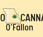 Premium Cannabis Dispensary in O’Fallon MO – Quality THC & CBD Shop