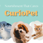 Pet Accessories Online for Comfort, Enrichment and Pet Care
