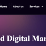 SEO Services