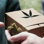 weed delivery sacramento