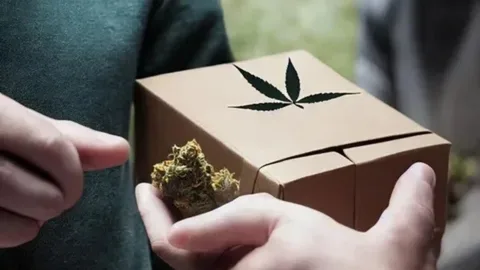weed delivery sacramento