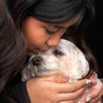 Animal communicators