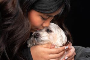 Animal communicators