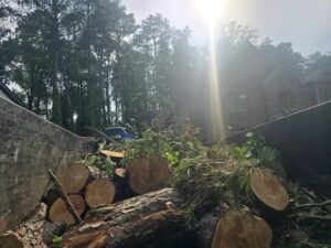 Tree removal in Atlanta GA