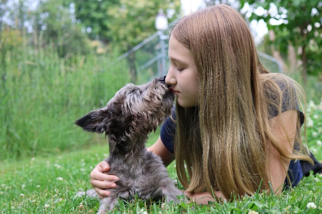 Pet Parent's Guide