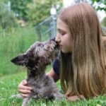Pet Parent's Guide
