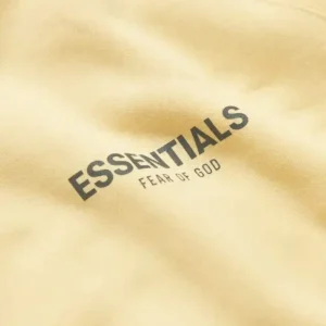 essentials hoodie