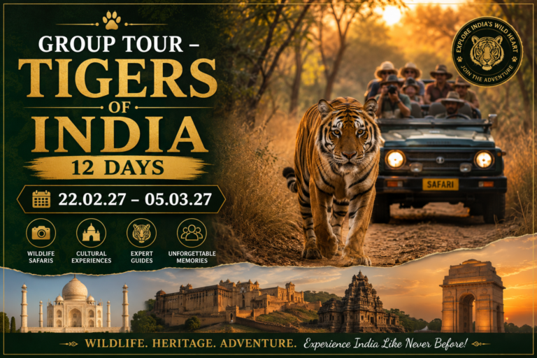 Group Tour – Tigers of India