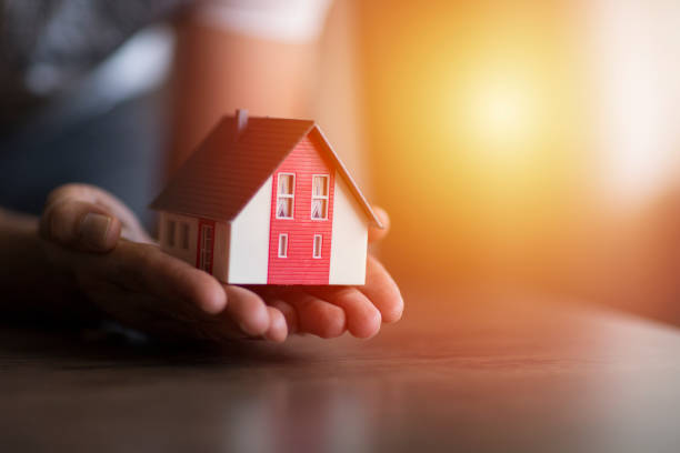Property Selling Agent