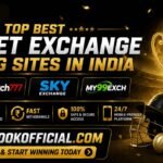 Explore top best cricket exchange betting sites in India with confidence today.
