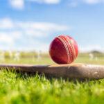 cricket