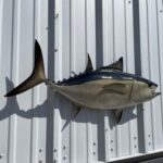 imageye___-_imgi_20_tuna-blackfin-36-hm-flankview__80552.1743003729