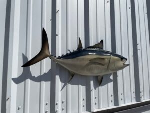 imageye___-_imgi_20_tuna-blackfin-36-hm-flankview__80552.1743003729