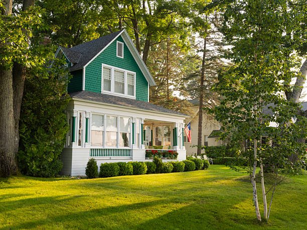 istockphoto-2228920197-612x612 (4)
