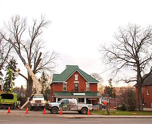 Tree service barrie