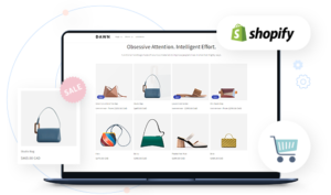 shopify-theme-development-image