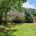 Tree service in Baton Rouge, LA