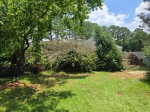 Tree service in Baton Rouge, LA
