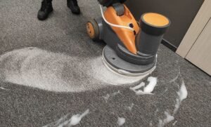 Carpet cleaning north royalton