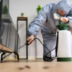 Residential Pest Control in Houston: Protecting Your Property