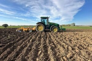 UK Agriculture: Where Hard Work Meets Growth