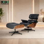 Eames chair and ottoman