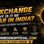Sky Exchange offers fast access and a smooth user experience