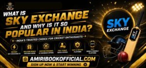 Sky Exchange offers fast access and a smooth user experience