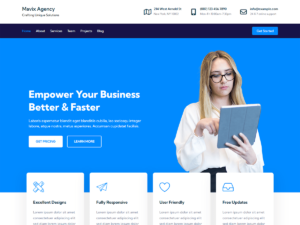 WordPress Agency
