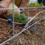 Professional Irrigation System Installation and Lawn Sprinkler Services