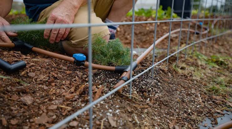 Professional Irrigation System Installation and Lawn Sprinkler Services