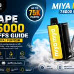 Vape 75000 Puffs