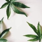 weed delivery new westminster