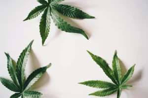 weed delivery new westminster