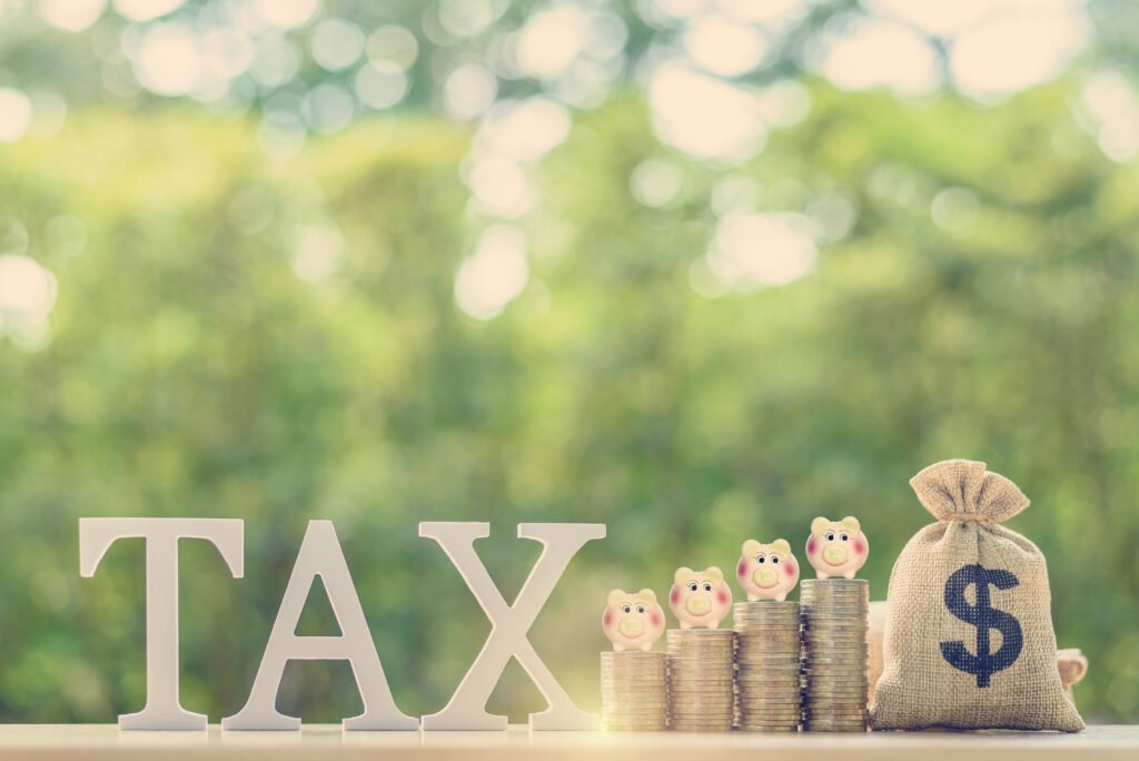 tax advisor for expats
