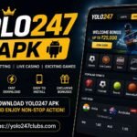 yolo247 apkk