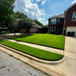 Commercial Landscape Maintenance