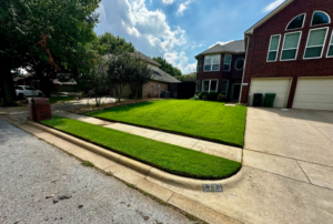 Commercial Landscape Maintenance