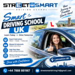 Best Affordable automatic driving instructor