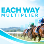 EACH WAY MULTIPLIER