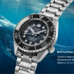 Seiko Watches Common Myths Debunked