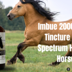 2000mg CBD Tincture for Horses