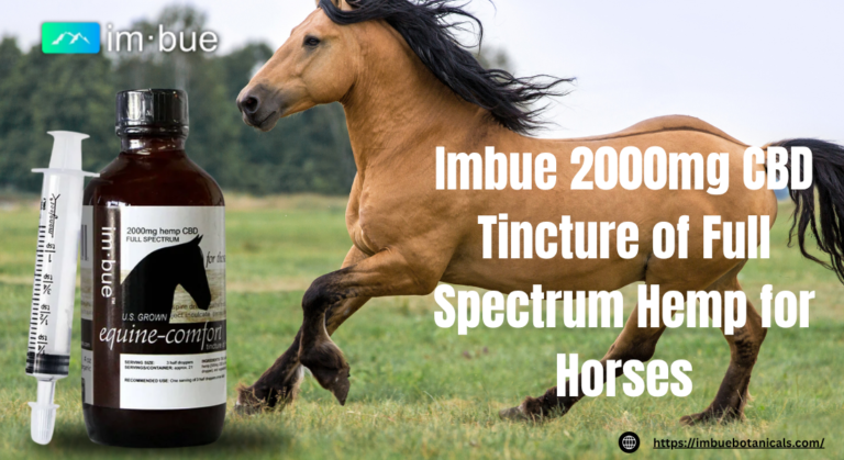 2000mg CBD Tincture for Horses