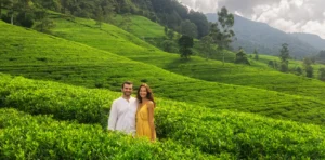 Kerala-Honeymoon-Package