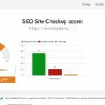 SEO Health Checkup