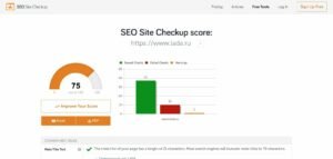 SEO Health Checkup