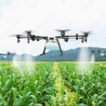 Drone spraying services