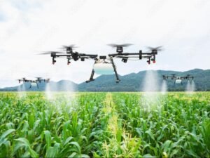 Drone spraying services